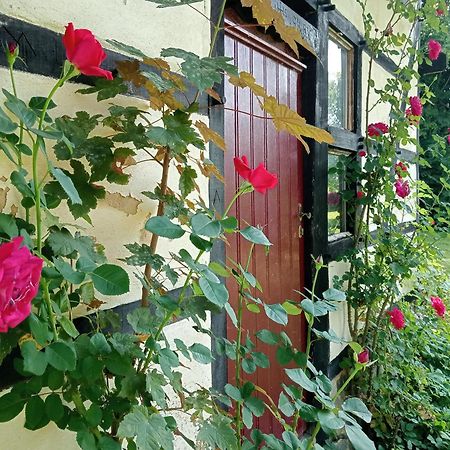 Bnb Het Geluk Van Limburg メッヘレン エクステリア 写真