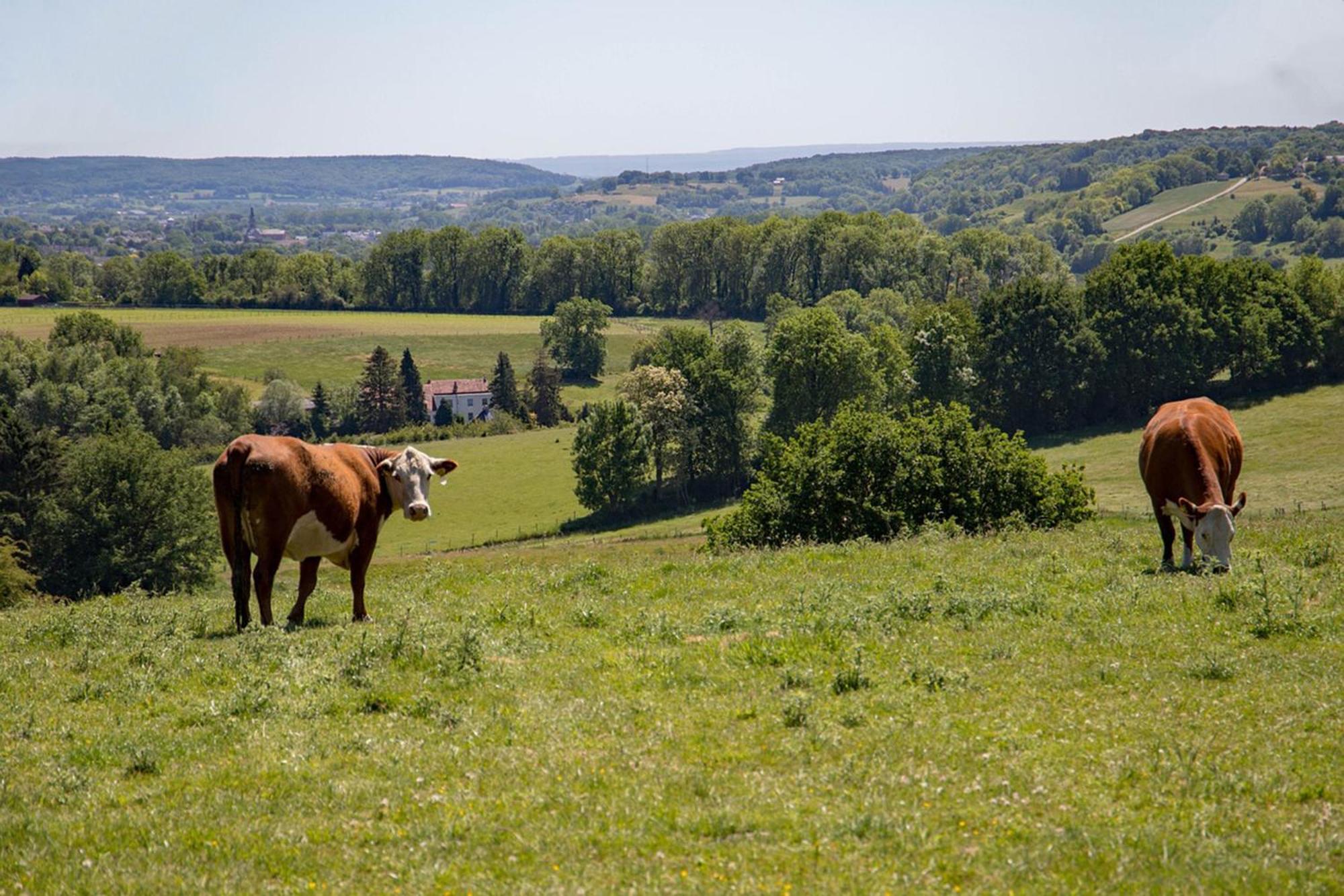 Bnb Het Geluk Van Limburg メッヘレン エクステリア 写真