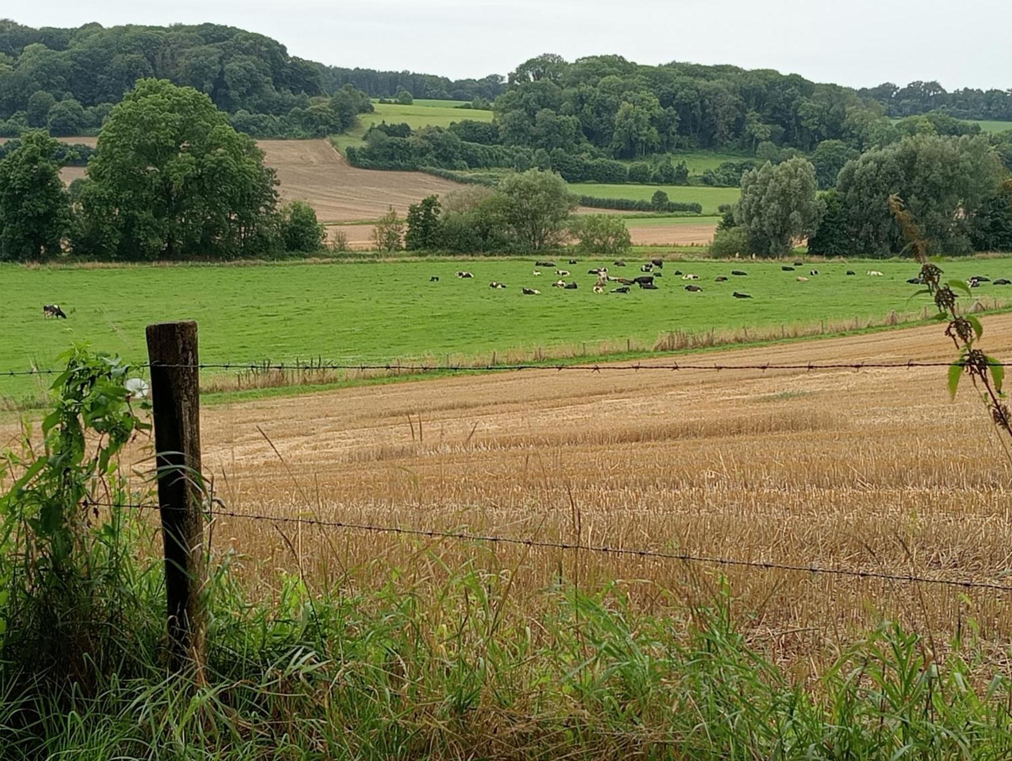 Bnb Het Geluk Van Limburg メッヘレン エクステリア 写真