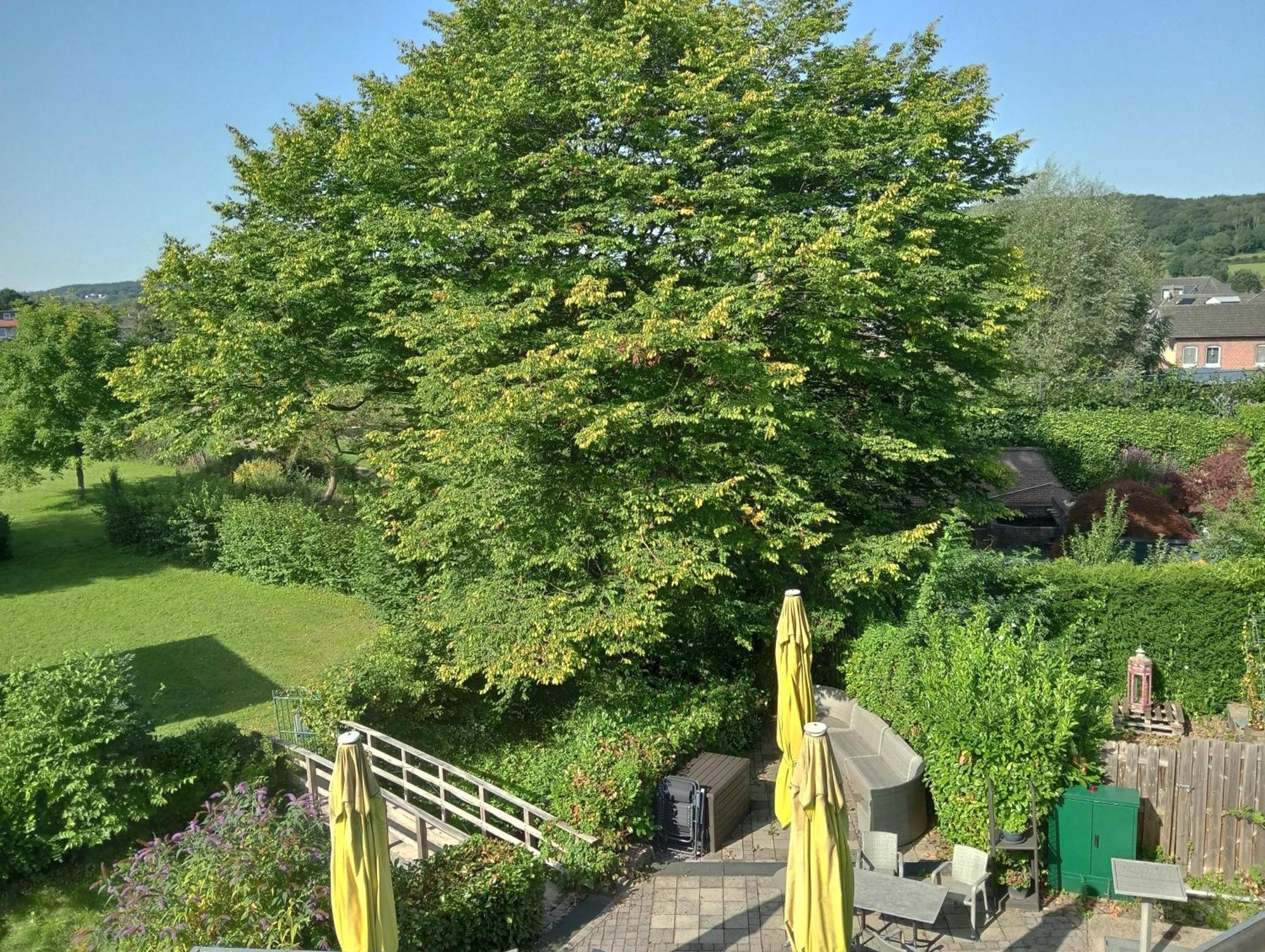 Bnb Het Geluk Van Limburg メッヘレン 部屋 写真