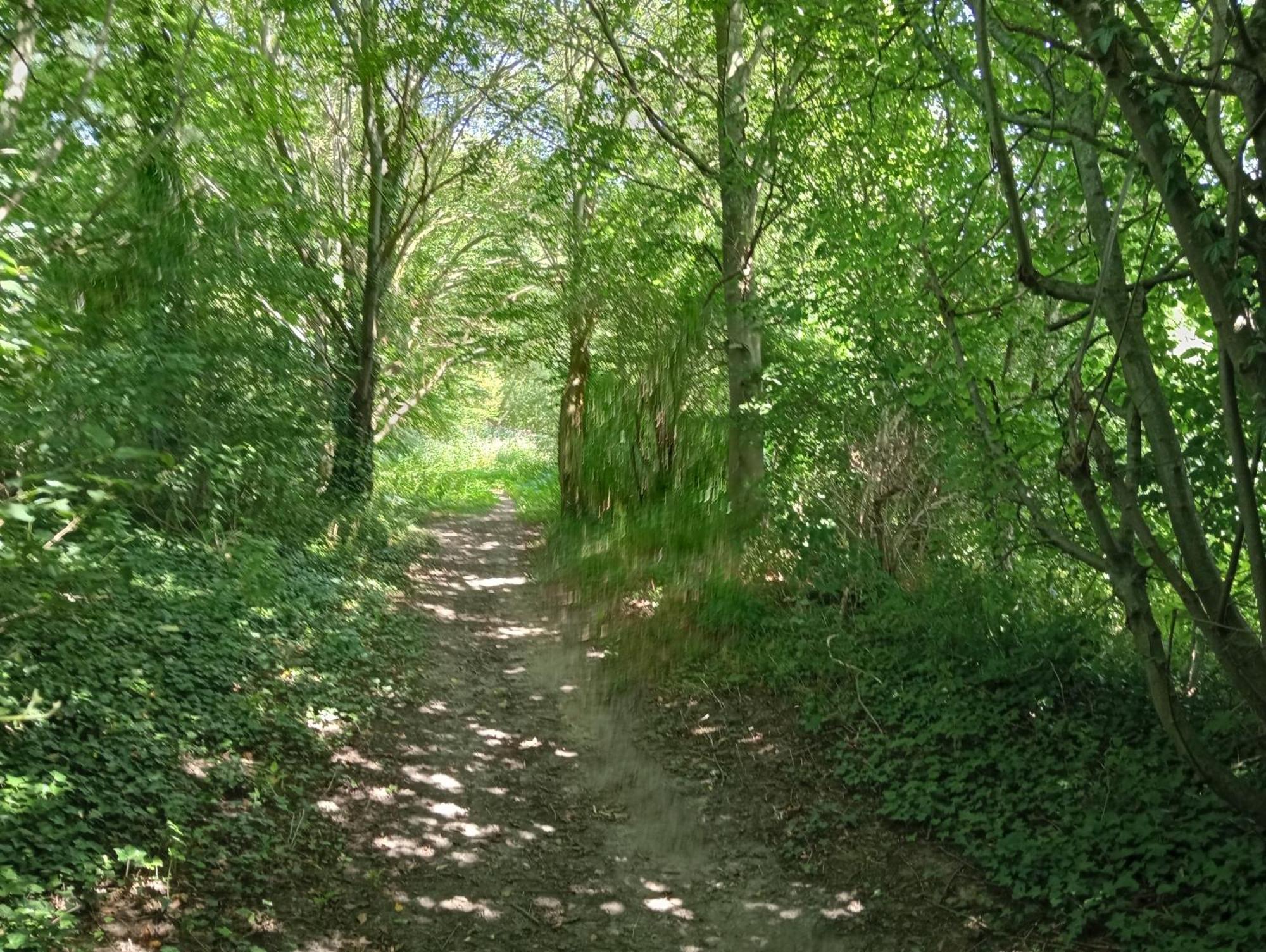 Bnb Het Geluk Van Limburg メッヘレン エクステリア 写真