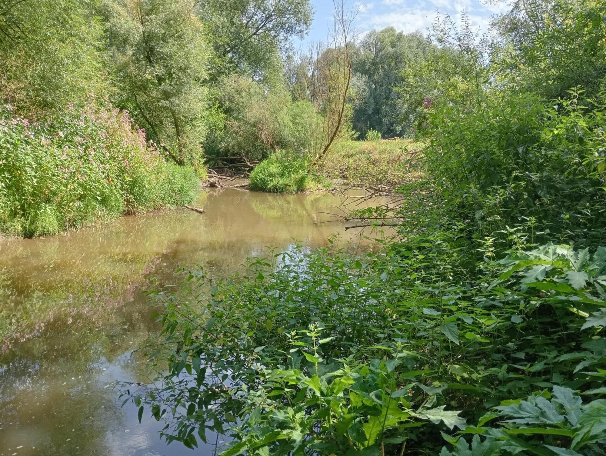 Bnb Het Geluk Van Limburg メッヘレン エクステリア 写真