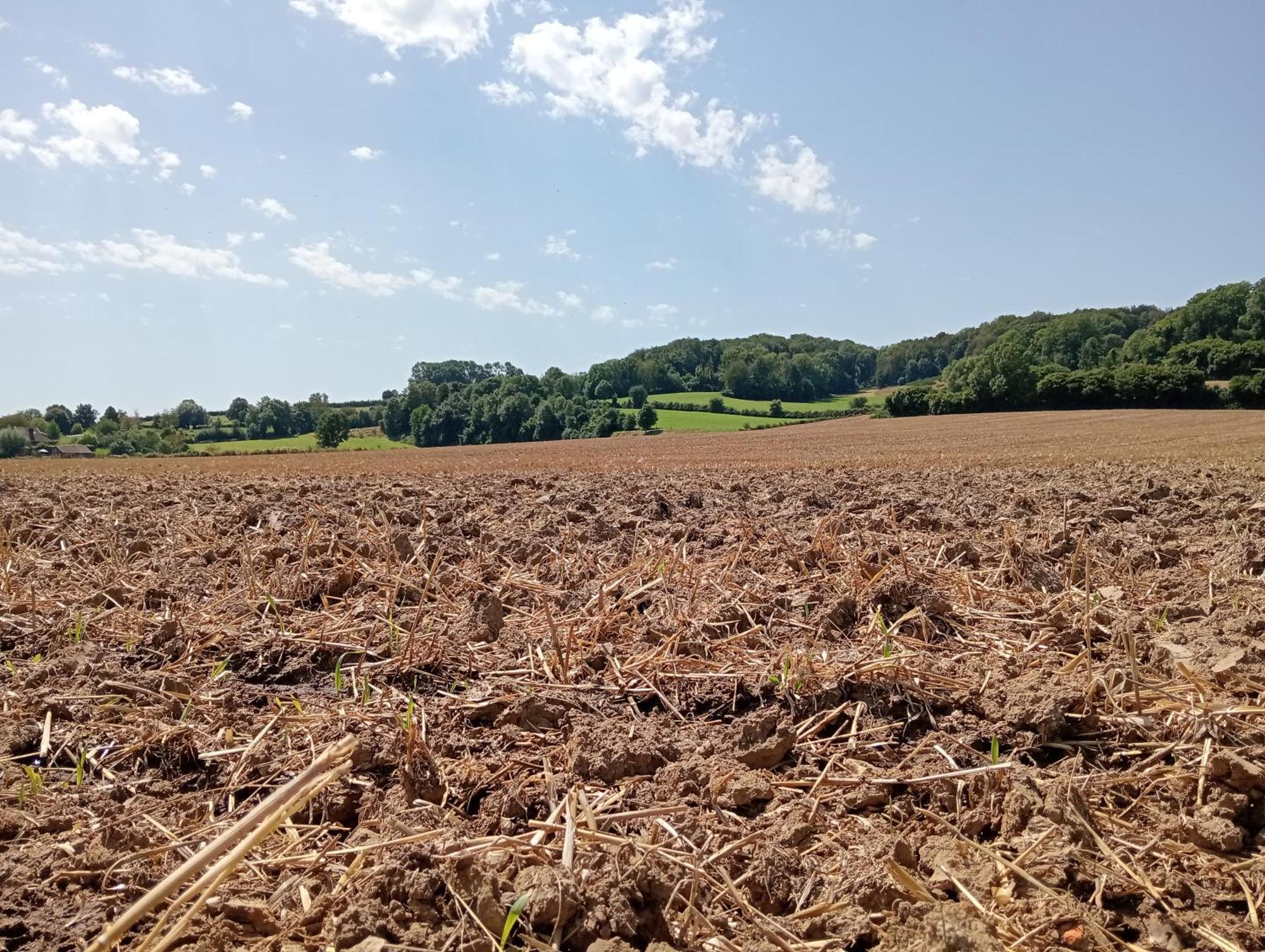 Bnb Het Geluk Van Limburg メッヘレン エクステリア 写真