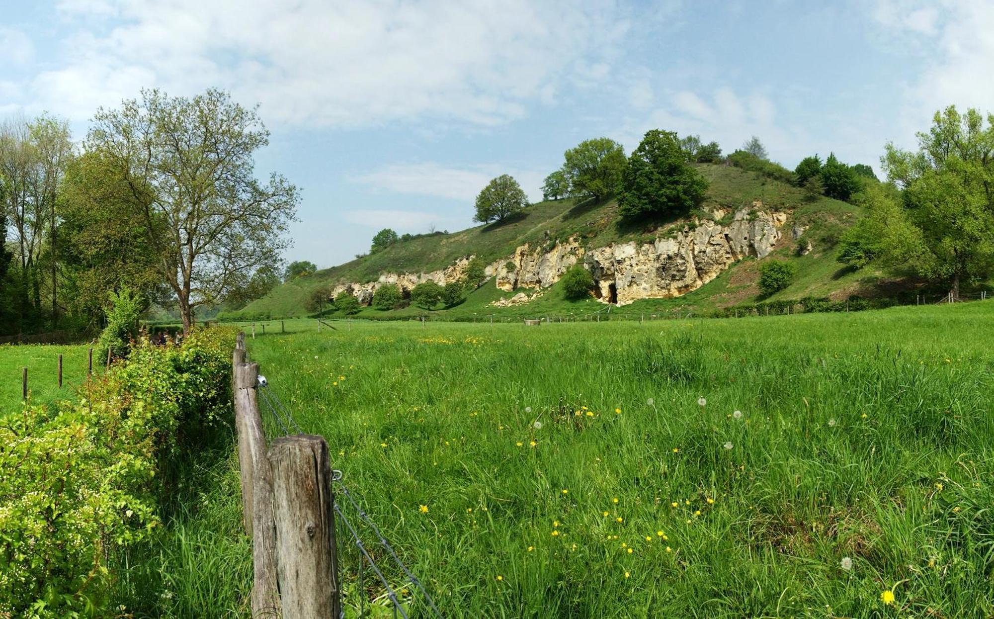 Bnb Het Geluk Van Limburg メッヘレン エクステリア 写真