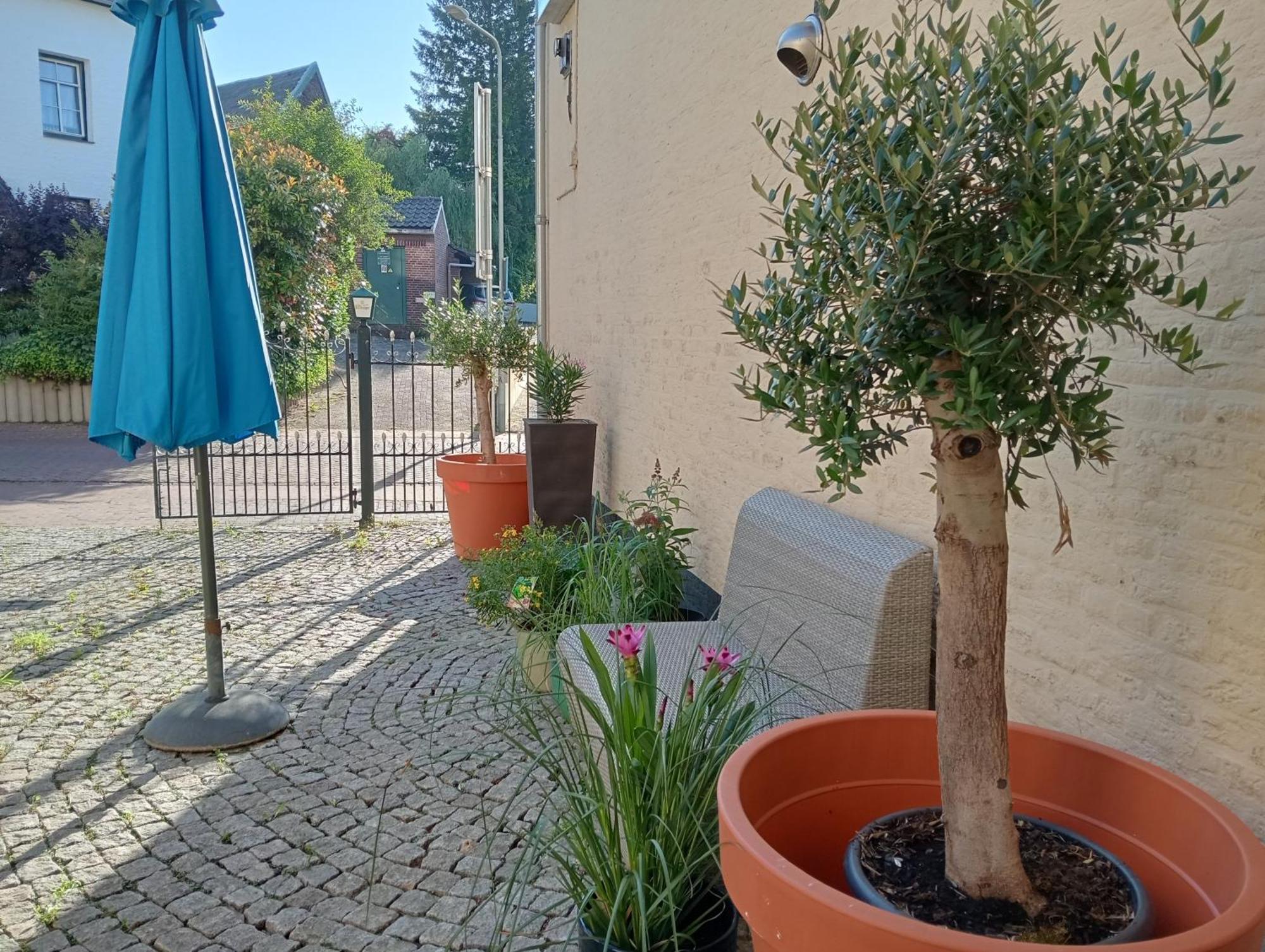 Bnb Het Geluk Van Limburg メッヘレン エクステリア 写真