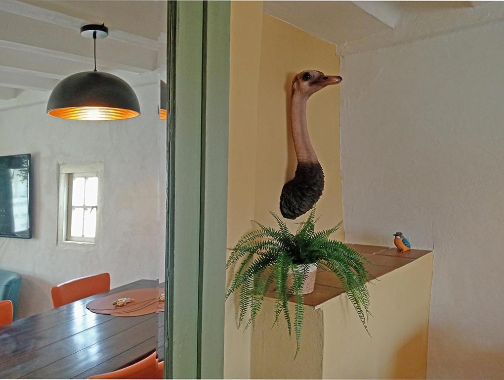 Bnb Het Geluk Van Limburg メッヘレン エクステリア 写真