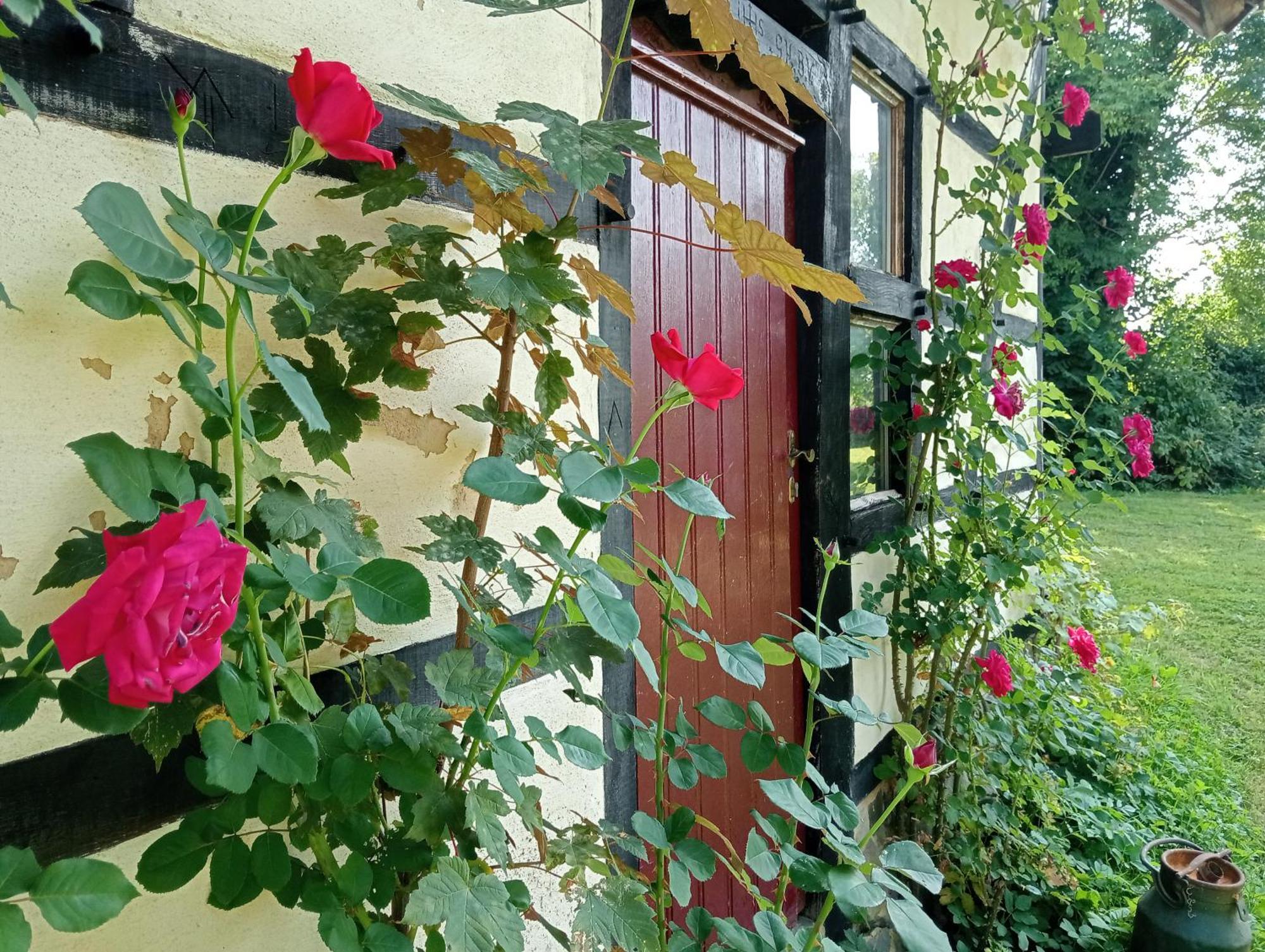 Bnb Het Geluk Van Limburg メッヘレン エクステリア 写真